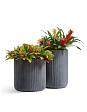 kashpo-treez-ergo-jet-tsilindr-dymchato-seryy-beton-v-37-d-37-sm-mini-3
