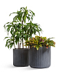 kashpo-treez-ergo-jet-tsilindr-dymchato-seryy-beton-v-37-d-37-sm-mini-2