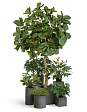 kashpo-treez-effectory-beton-kub-tyomno-seryy-beton-30kh30kh30-sm-bez-tekhnich-kashpo-mini-2