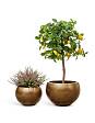 kashpo-treez-effectory-metal-polusfera-tyomnoe-matovoe-zoloto-d-22-sm-v-15-sm-mini-4