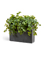 kashpo-treez-effectory-beton-vysokiy-divayder-tyomno-seryy-beton-v-75-d-92-sh-25-sm-1-1-mini-0