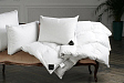 pillow-rois-ouronnes-e-uxe-election-oose-own-mini-4