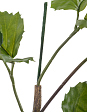 tetrastigma-vetv-de-lyuks-interernaya-v-220-sm-3-6-mini-5