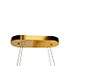 arana-leo--ro-2gdw-01-00-mini-1