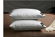 pillow-rois-ouronnes-e-uxe-election-oose-own-mini-0