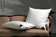 pillow-rois-ouronnes-e-uxe-election-oose-own-mini-2