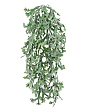 stegkhorn-khilii-oleni-roga-kust-ampelnyy-v-67-sm-sh-30-sm-12-72-mini-0