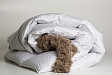 duvet-rois-ouronnes-oyal-ild-uck-own-mini-3