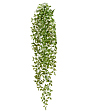 tradeskantsiya-belo-zelyonaya-plastik-v-100-sm-12-48-mini-0