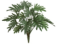 filodendron-ksanadu-kust-v-45-sm-12-48-mini-0